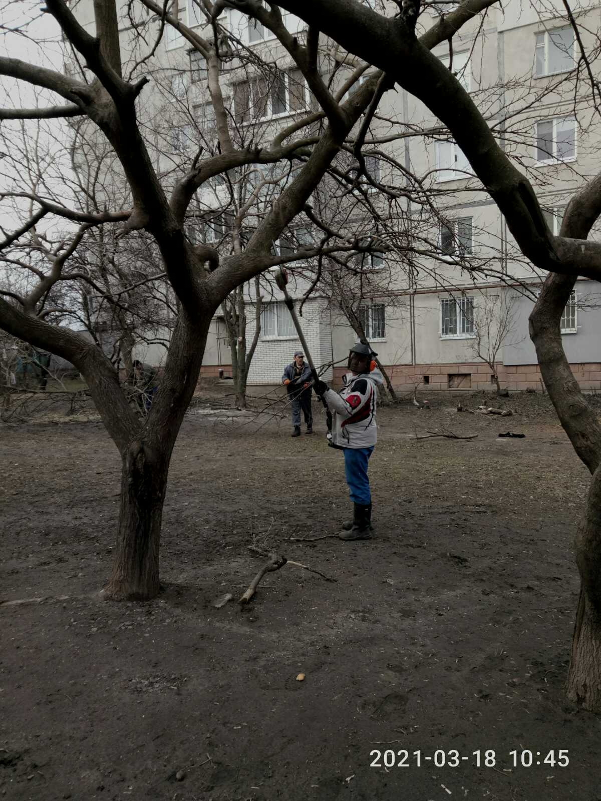 Санітарна розчистка дерев по вул. Героїв Крут