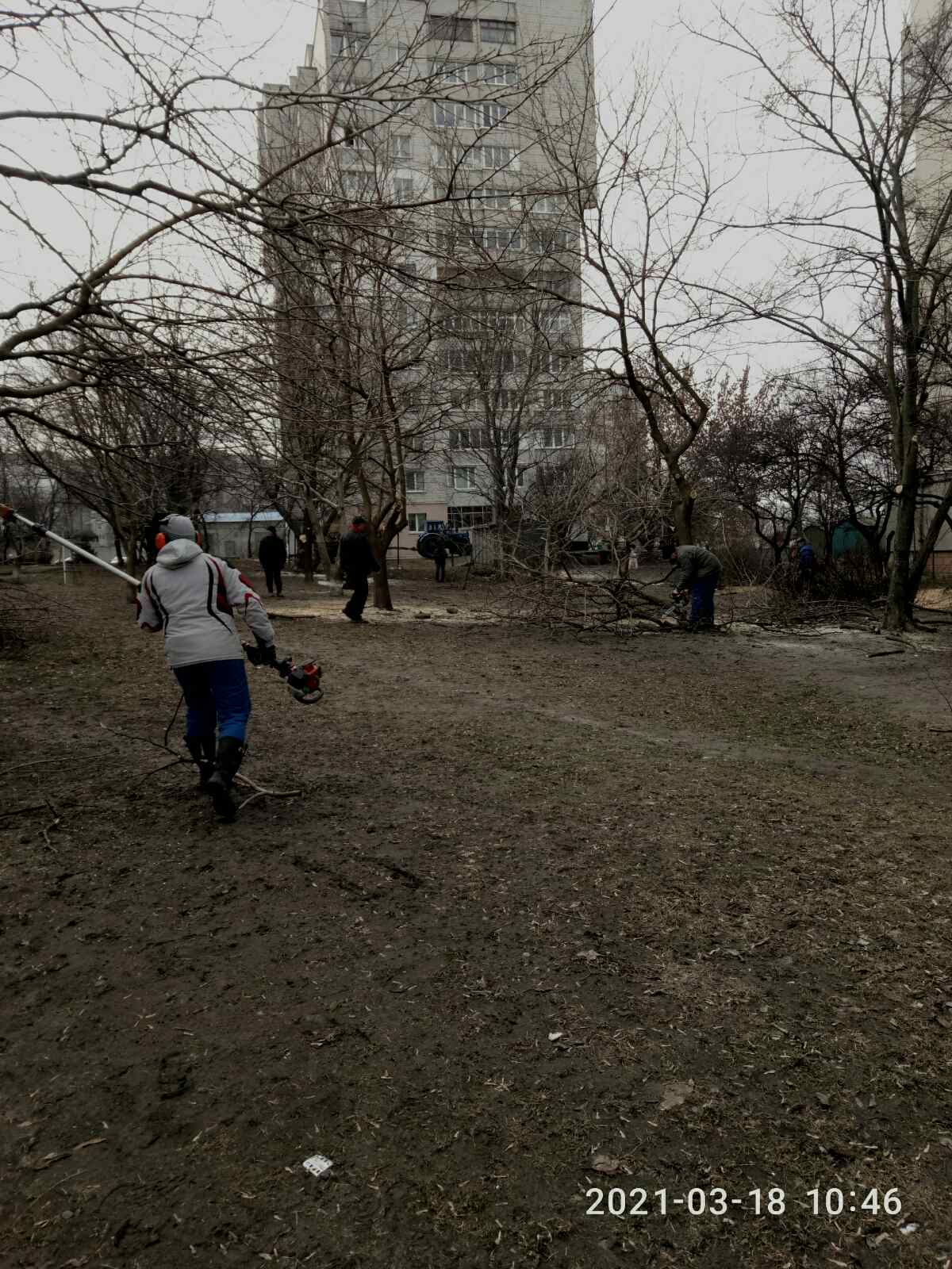 Санітарна розчистка дерев по вул. Героїв Крут